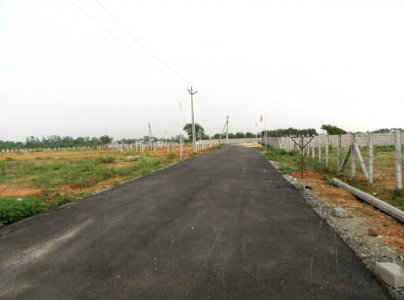 1) Li Id : 150 - Pic : 2.JPG
